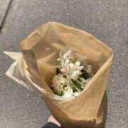 ヒメ日記 2025/04/16 15:47 投稿 みやび SUZUME