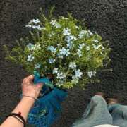 ヒメ日記 2025/05/04 13:45 投稿 みやび SUZUME