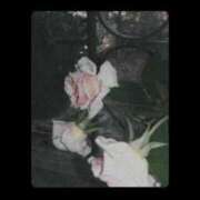 ヒメ日記 2025/05/10 13:45 投稿 みやび SUZUME