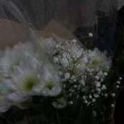 ヒメ日記 2025/05/30 15:45 投稿 みやび SUZUME