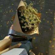 ヒメ日記 2025/05/31 13:51 投稿 みやび SUZUME