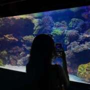 ヒメ日記 2025/06/05 15:45 投稿 みやび SUZUME