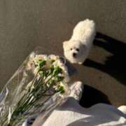 ヒメ日記 2025/06/14 13:45 投稿 みやび SUZUME