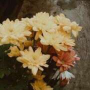 ヒメ日記 2025/06/15 13:51 投稿 みやび SUZUME