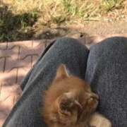 ヒメ日記 2025/06/21 14:01 投稿 みやび SUZUME