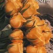 ヒメ日記 2025/07/09 16:14 投稿 みやび SUZUME