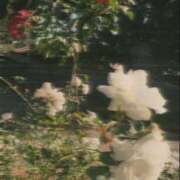 ヒメ日記 2025/08/05 15:45 投稿 みやび SUZUME