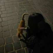 ヒメ日記 2025/08/12 15:45 投稿 みやび SUZUME