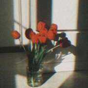 ヒメ日記 2025/08/28 15:45 投稿 みやび SUZUME