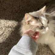 ヒメ日記 2025/09/05 15:45 投稿 みやび SUZUME