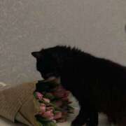 ヒメ日記 2025/09/07 13:52 投稿 みやび SUZUME