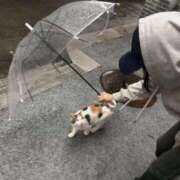 ヒメ日記 2025/09/14 13:45 投稿 みやび SUZUME