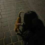 ヒメ日記 2025/09/19 16:15 投稿 みやび SUZUME