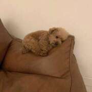 ヒメ日記 2025/09/21 13:45 投稿 みやび SUZUME