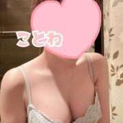 ヒメ日記 2025/02/02 16:23 投稿 ことね SOPHIA（ソフィア）