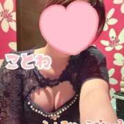 ヒメ日記 2025/02/24 17:43 投稿 ことね SOPHIA（ソフィア）