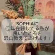 ヒメ日記 2025/04/15 12:23 投稿 ことね SOPHIA（ソフィア）