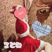 ヒメ日記 2025/12/19 08:33 投稿 ことね SOPHIA（ソフィア）