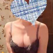 ヒメ日記 2026/02/17 12:03 投稿 ことね SOPHIA（ソフィア）