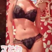 ヒメ日記 2026/02/18 10:13 投稿 ことね SOPHIA（ソフィア）