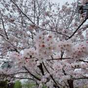 ヒメ日記 2025/04/01 21:42 投稿 あいみ 神田ハンドメイド