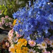 ヒメ日記 2025/07/15 22:25 投稿 あいみ 神田ハンドメイド