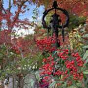 あいみ 11月最後💞 神田ハンドメイド