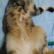 ヒメ日記 2025/09/21 10:19 投稿 直江 鶯谷デッドボール