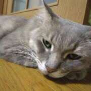 直江 こんにちは。 鶯谷デッドボール