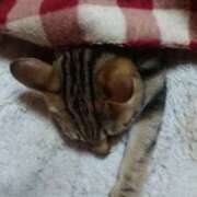 直江 こんにちは 鶯谷デッドボール