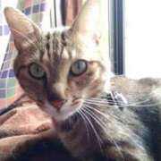 直江 こんにちは 鶯谷デッドボール