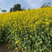 ヒメ日記 2025/04/23 12:20 投稿 なお エデン