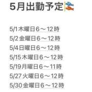 ヒメ日記 2025/04/27 16:45 投稿 なお エデン