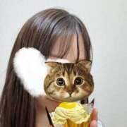 ヒメ日記 2025/05/06 09:21 投稿 なお エデン