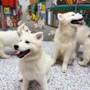 ヒメ日記 2025/05/10 12:19 投稿 なお エデン