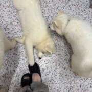 ヒメ日記 2025/05/10 15:49 投稿 なお エデン