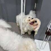 ヒメ日記 2025/05/13 15:44 投稿 なお エデン