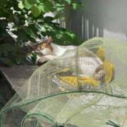 ヒメ日記 2025/06/07 15:45 投稿 なお エデン