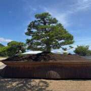 ヒメ日記 2025/07/21 15:31 投稿 なお エデン