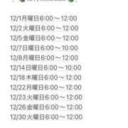 ヒメ日記 2025/11/25 09:01 投稿 なお エデン