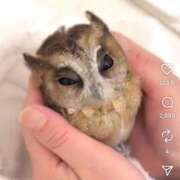 ヒメ日記 2025/12/03 19:05 投稿 なお エデン