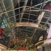 ヒメ日記 2025/12/09 12:01 投稿 なお エデン