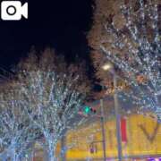 ヒメ日記 2025/12/09 19:05 投稿 なお エデン