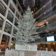 ヒメ日記 2025/12/25 12:02 投稿 なお エデン