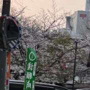 ヒメ日記 2026/03/29 12:16 投稿 なお エデン