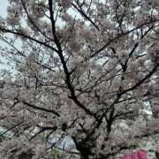 ヒメ日記 2026/04/07 19:21 投稿 なお エデン