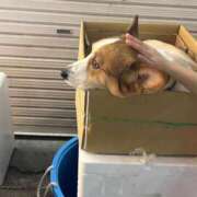 ヒメ日記 2026/04/08 12:11 投稿 なお エデン