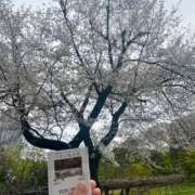 ヒメ日記 2026/04/09 12:21 投稿 なお エデン