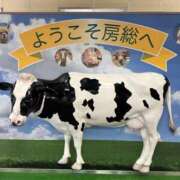 ヒメ日記 2026/05/25 15:41 投稿 なお エデン