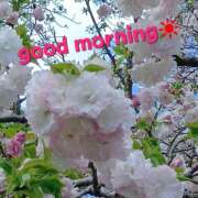 ヒメ日記 2025/04/15 06:37 投稿 はるな 美熟女倶楽部Hip's 春日部店